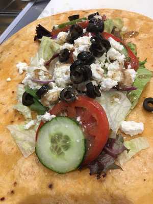 Spoodles At The Tower