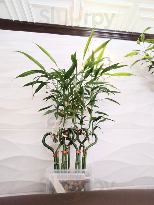 Maywah Chinese & Vietnamese