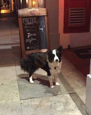 Foxtail Kitchen & Bar