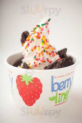 Berryline - Porter Square