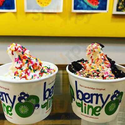 Berryline - Porter Square