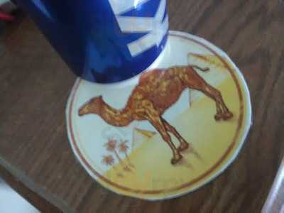 Sundance Steakhouse & Saloon