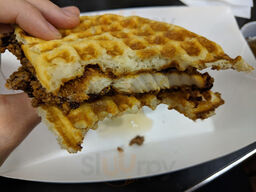 Hunter House Ann Arbor