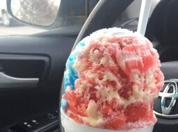 Pelicans Snoballs