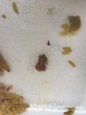 King Chef Chinese Restaurant