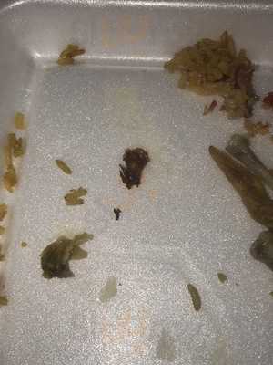 King Chef Chinese Restaurant