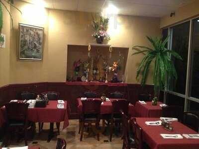 Samarth In The Jungle