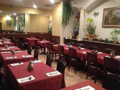 Samarth In The Jungle