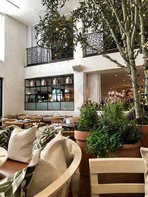 Fig & Olive