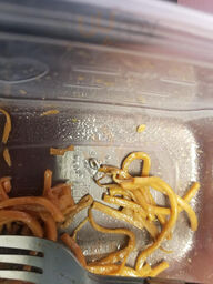 Peking Garden Restaurant