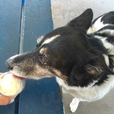 Katie's Frozen Custard