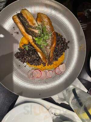 Harvest Seasonal Grill - Delray Beach