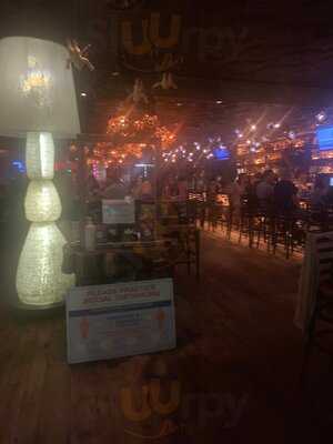 Rocco's Tacos And Tequila Bar