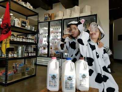 Stensland Family Farms Ice Cream Central