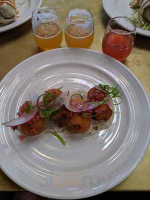 Modern Times Acadamy Of Recreational Science