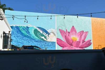 Modern Times Acadamy Of Recreational Science