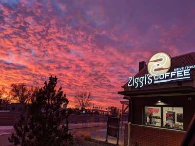 Ziggi's Coffee - Fort Collins