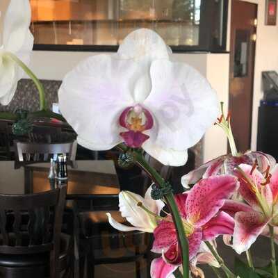 J P Asian Bistro Corp