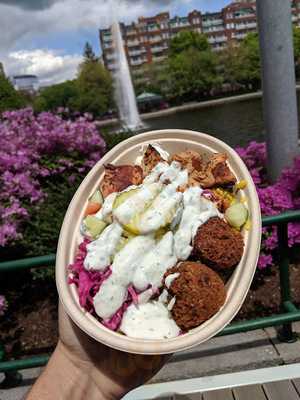 Fava Bean Mediterranean