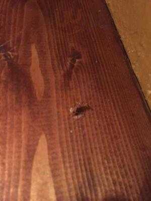 El Rancho Mexican Restaurant