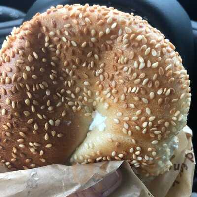 Noah's Ny Bagels