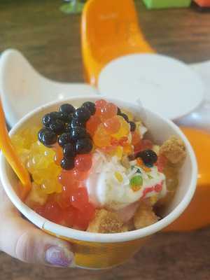 Orange Leaf Frozen Yogurt