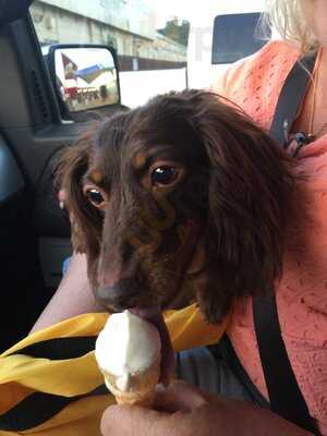 Andy's Frozen Custard