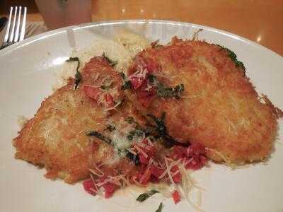 Bj's Restaurant & Brewhouse