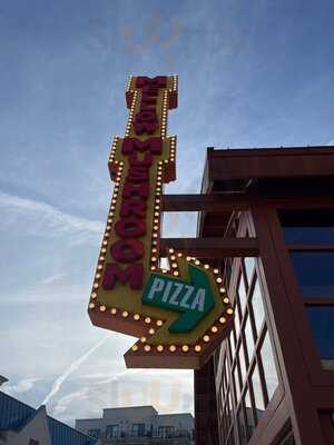 Mellow Mushroom Branson