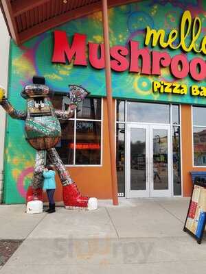 Mellow Mushroom Branson