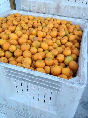 Countryside Citrus