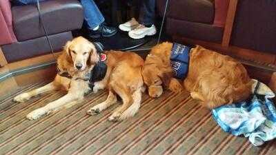 Ram Restaurant And Brewery