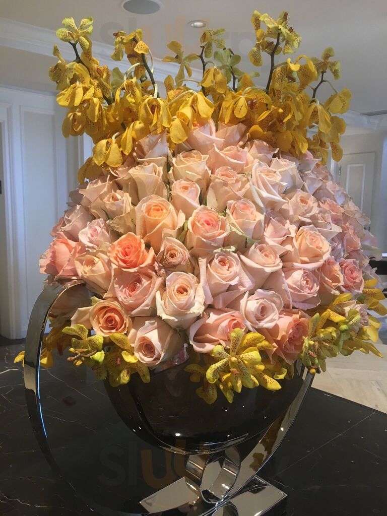 Havana Nights Piano Bar