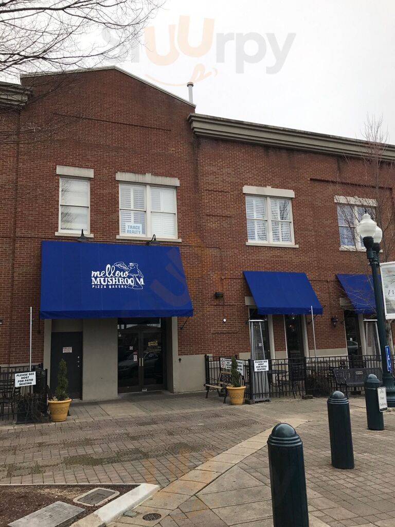 Mellow Mushroom Franklin