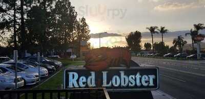 Red Lobster