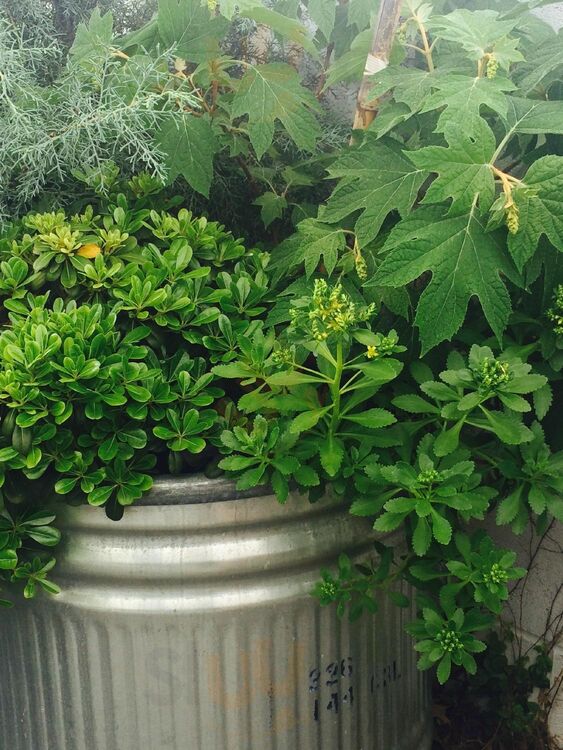 Victory Sandwich Bar