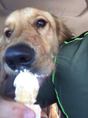 Caliche's Frozen Custard