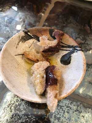 Dancing Lion Chocolate