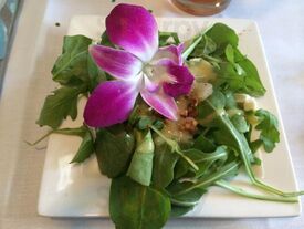 Plum Cafe
