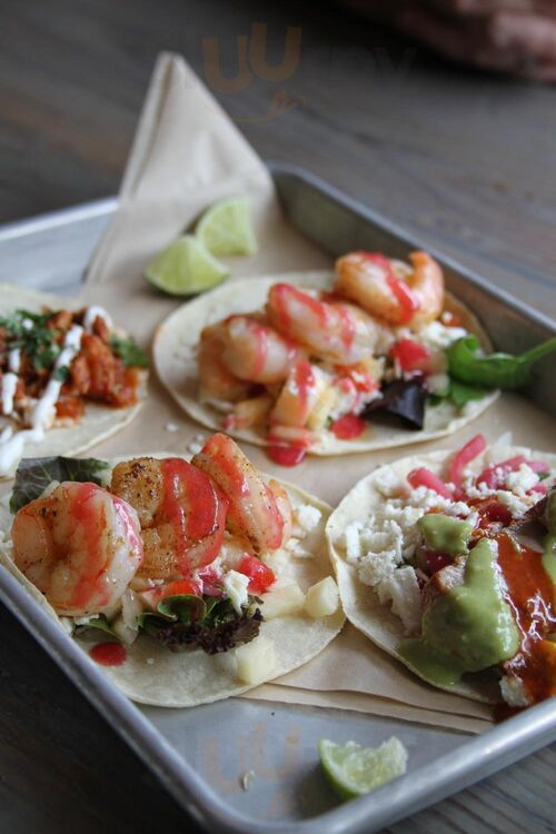 Vida Taco Bar