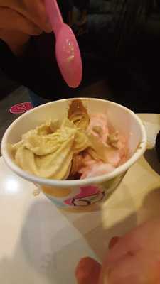 Yogurtland