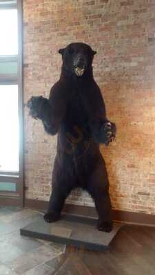 Thirty-thirty Coffee Co.