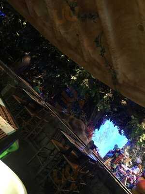 Rainforest Cafe