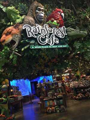 Rainforest Cafe