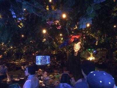 Rainforest Cafe