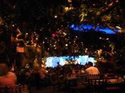 Rainforest Cafe