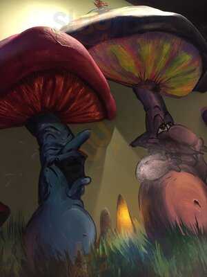 Mellow Mushroom Fayetteville