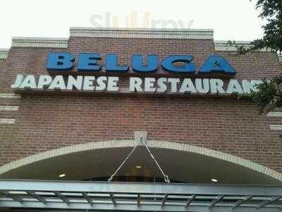 Beluga Japanese Restaurant
