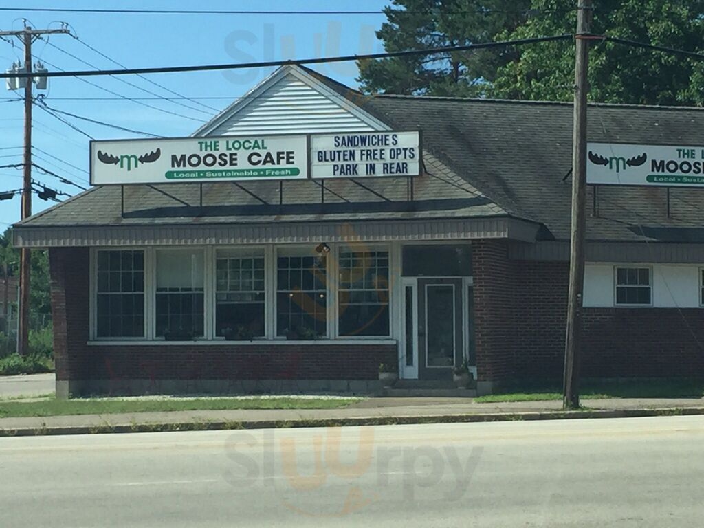 The Local Moose