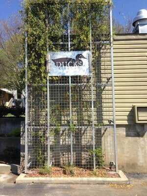 Duck's Cosmic Kitchen